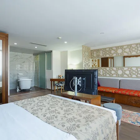 P Galata - Special Category Hotell Istanbul